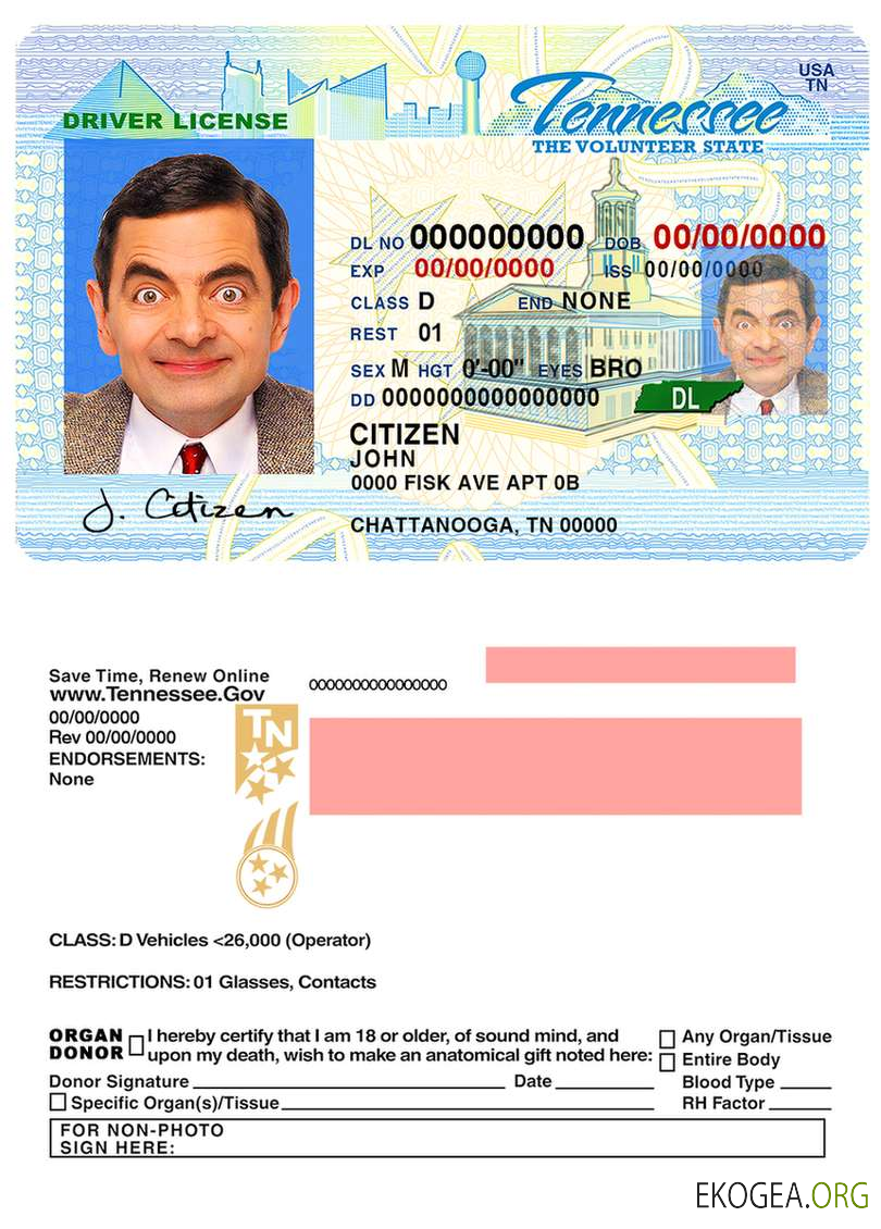 Usa Tennessee template